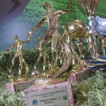 MIędzynarodowy Turniej NAKI - CUP 2013 - puchary i medale - 12